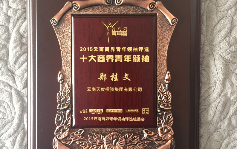 在“互联网大时代”的背景下，尊龙凯时作为本土很大和很有名的互联网服务企业，为近万家传统企业转型互联网+提供了服务和帮助，获此奖项后，我们将再接再厉，创造更高的社会价值